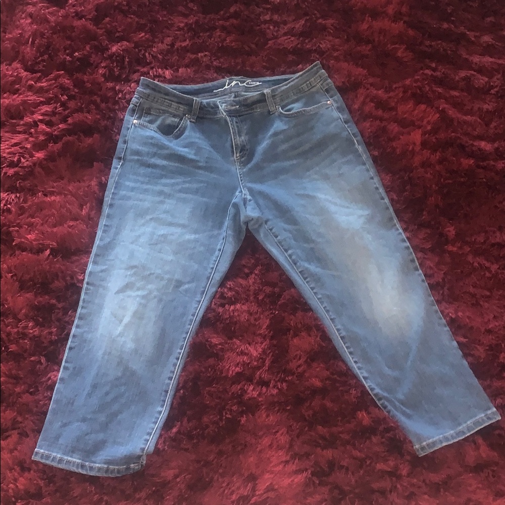 INC International Concepts Blue Denim Jeans, CURVY